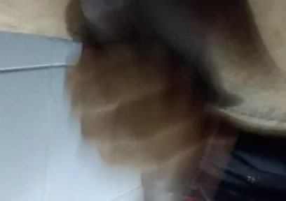 Jaladas